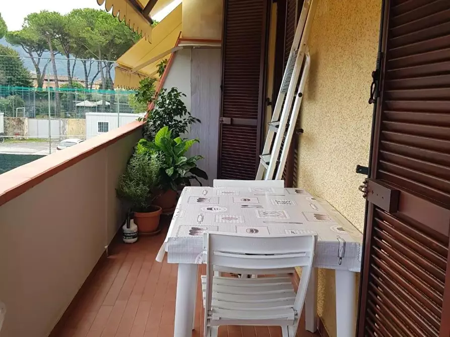 Immagine 13 di Appartamento in vendita  a Massa