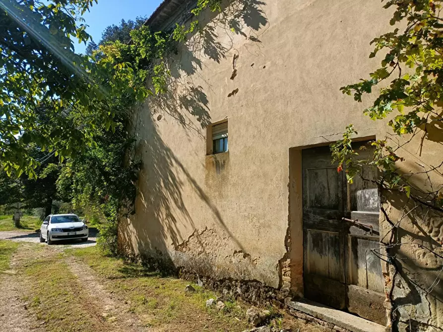 Immagine 4 di Casa colonica in vendita  a Casciana Terme Lari