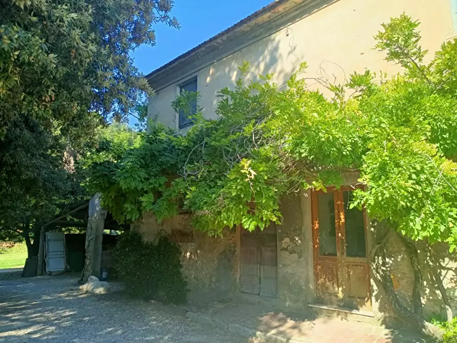 Immagine 2 di Casa colonica in vendita  a Casciana Terme Lari