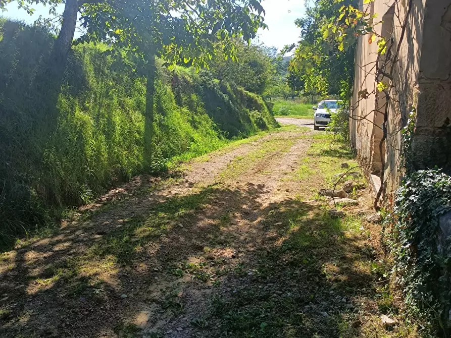 Immagine 6 di Casa colonica in vendita  a Casciana Terme Lari