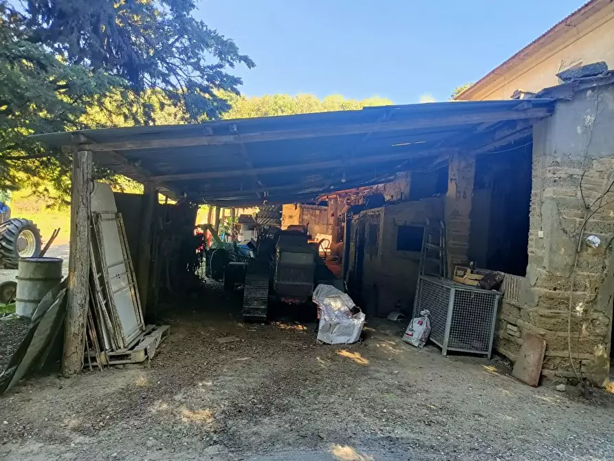 Immagine 8 di Casa colonica in vendita  a Casciana Terme Lari