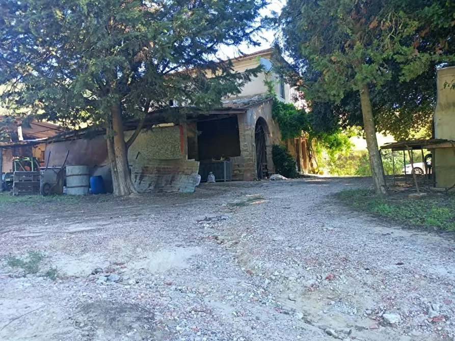 Immagine 7 di Casa colonica in vendita  a Casciana Terme Lari