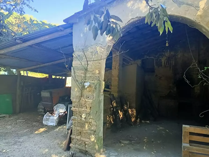 Immagine 3 di Casa colonica in vendita  a Casciana Terme Lari