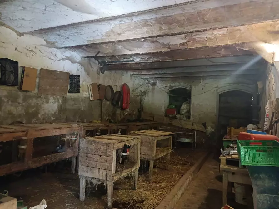 Immagine 9 di Casa colonica in vendita  a Casciana Terme Lari