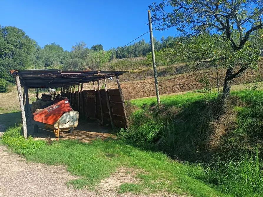 Immagine 5 di Casa colonica in vendita  a Casciana Terme Lari