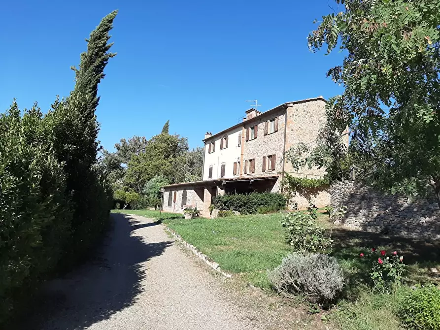 Immagine 6 di Villa in vendita  a Terricciola