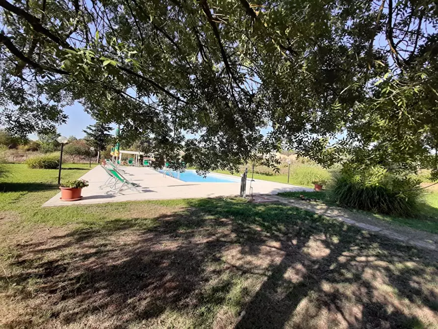 Immagine 2 di Villa in vendita  a Terricciola