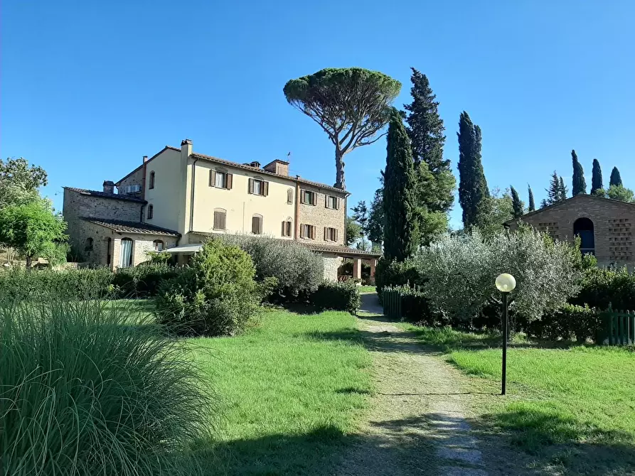 Immagine 5 di Villa in vendita  a Terricciola