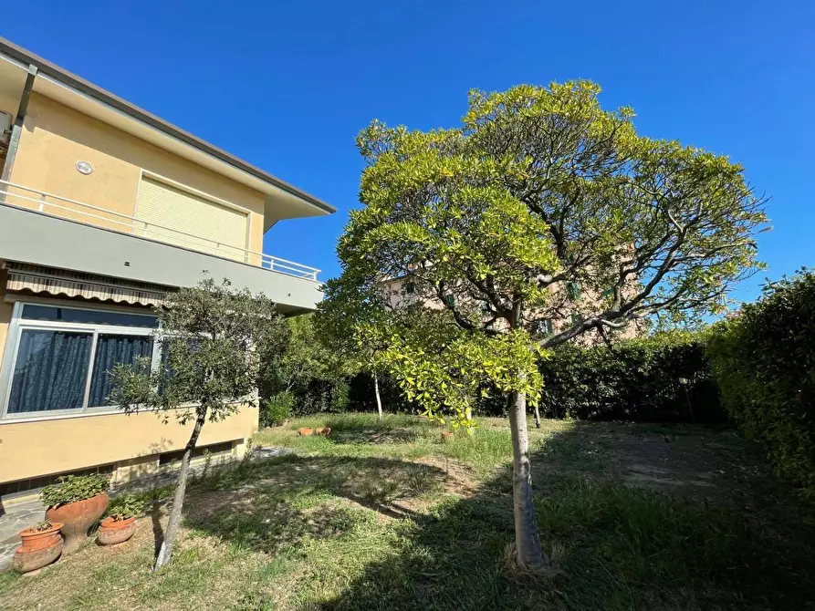 Immagine 2 di Villa in vendita  a Pietrasanta