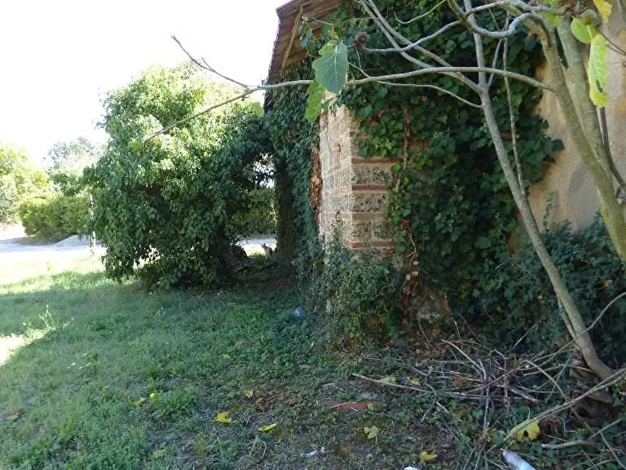 Immagine 2 di Terratetto in vendita  a Fucecchio