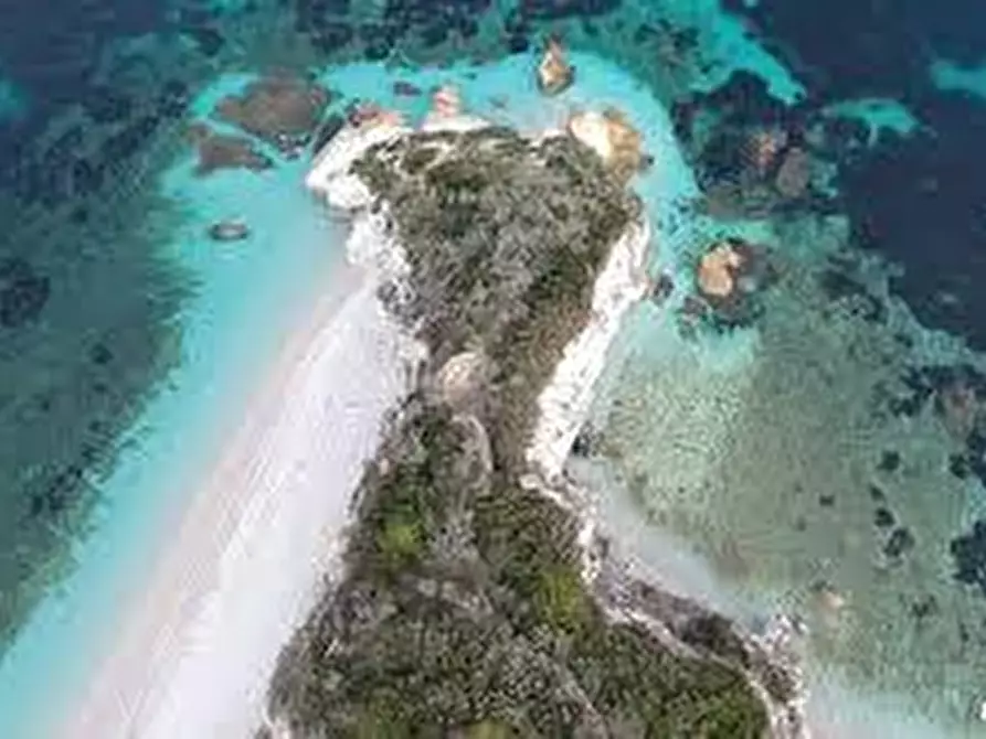 Immagine 63 di Villa in vendita  a Portoferraio