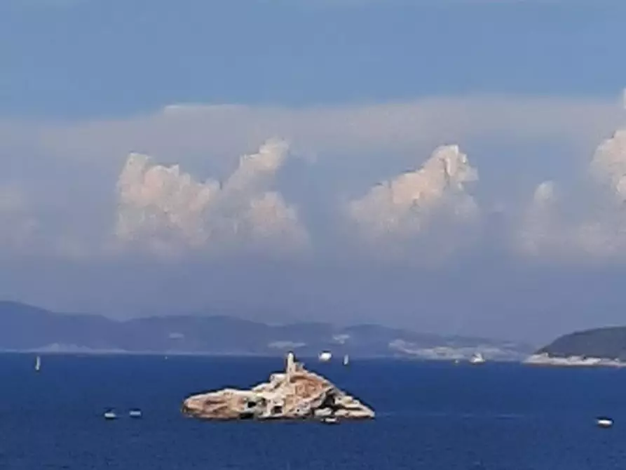 Immagine 28 di Villa in vendita  a Portoferraio