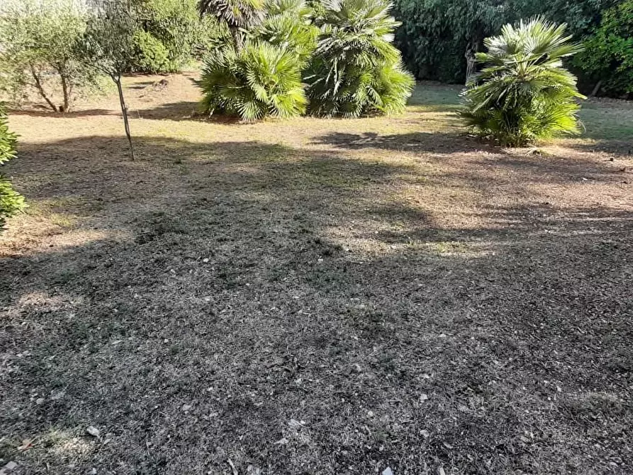 Immagine 60 di Villa in vendita  a Portoferraio