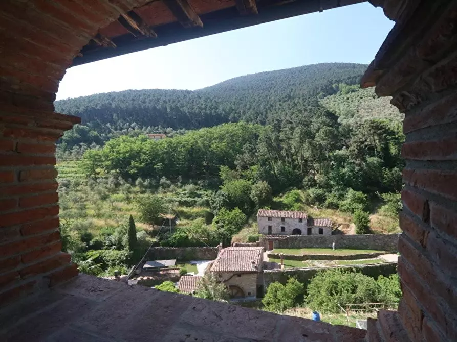 Immagine 24 di Appartamento in vendita  a Buti