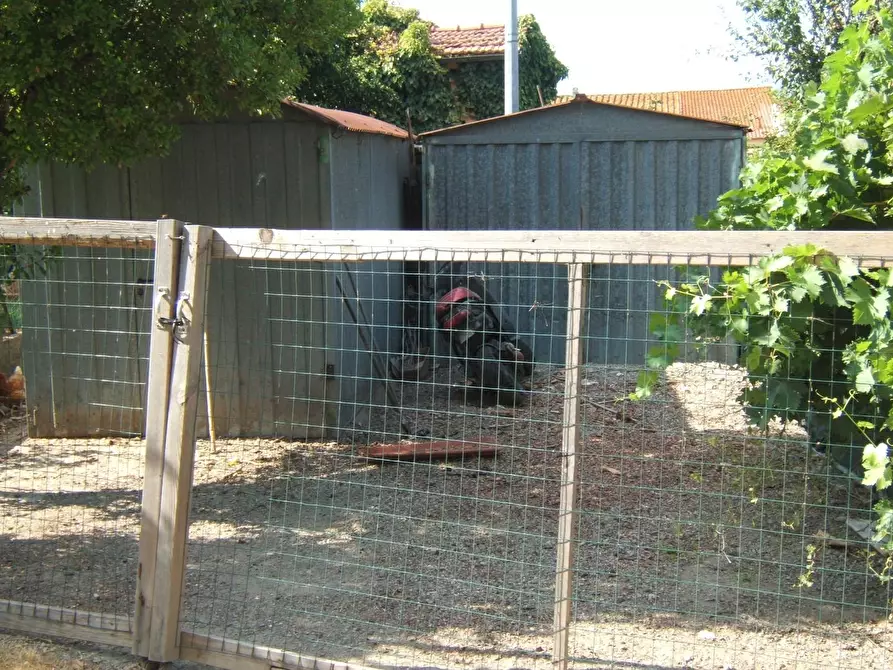 Immagine 18 di Appartamento in vendita  a Casciana Terme Lari