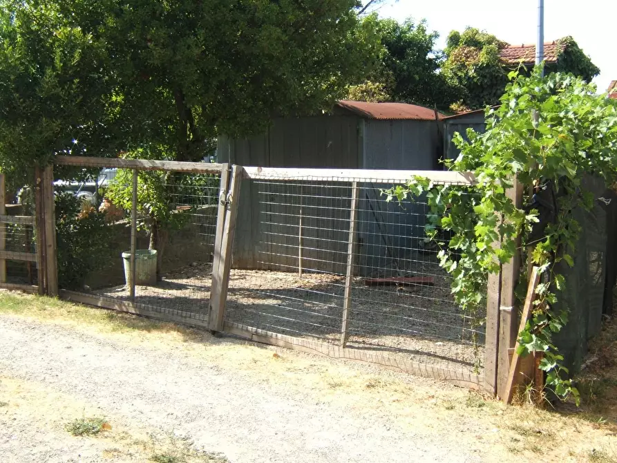 Immagine 17 di Appartamento in vendita  a Casciana Terme Lari