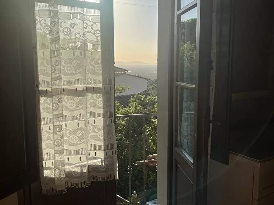 Immagine 10 di Rustico / casale in vendita  a Vinci