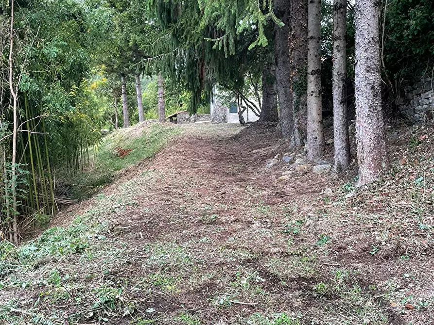Immagine 15 di Casa semindipendente in vendita  a Fivizzano