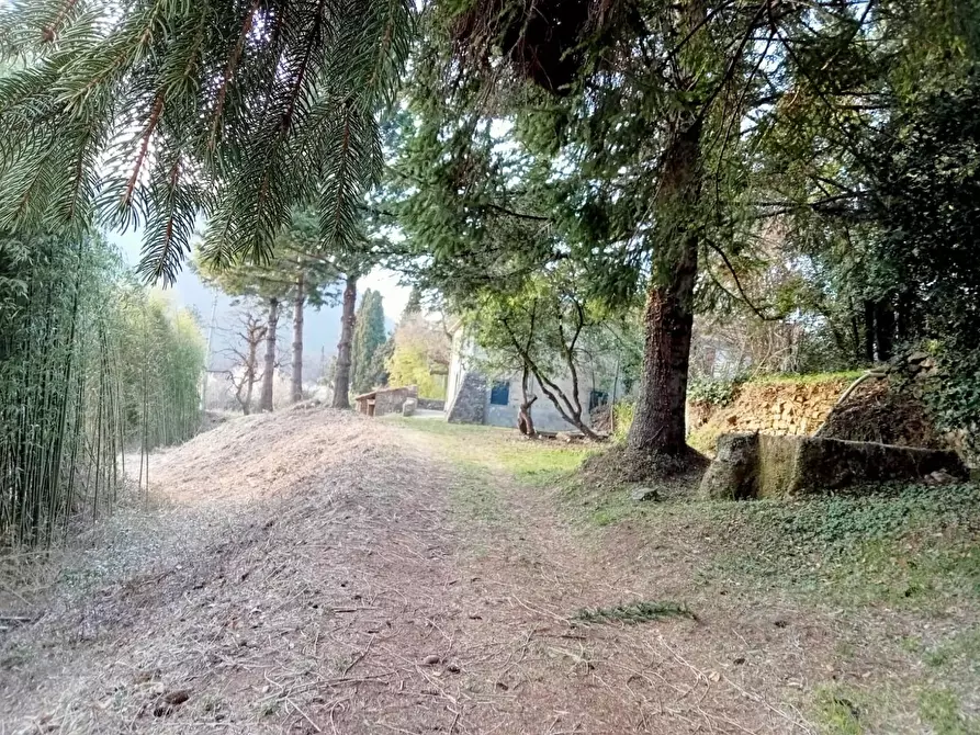 Immagine 11 di Casa semindipendente in vendita  a Fivizzano