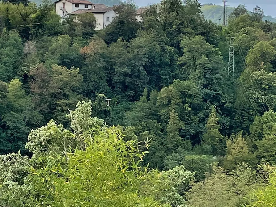 Immagine 17 di Casa semindipendente in vendita  a Fivizzano