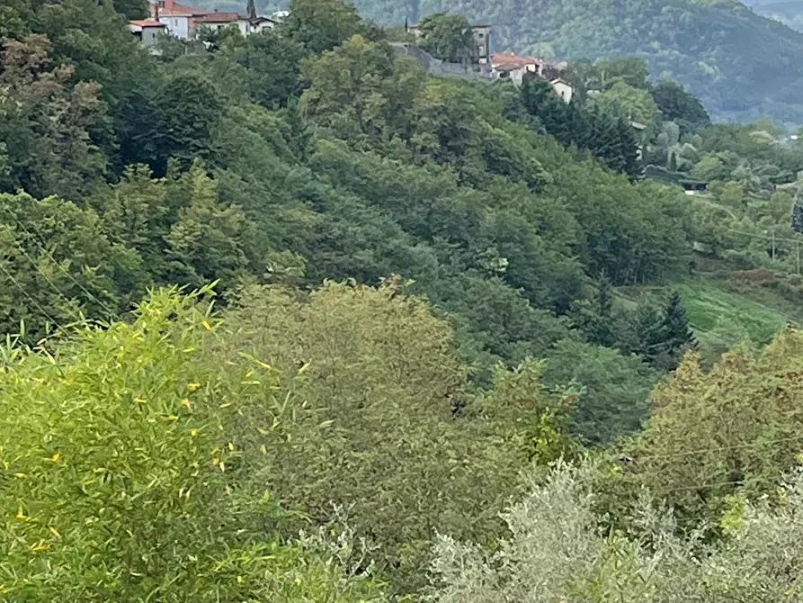 Immagine 16 di Casa semindipendente in vendita  a Fivizzano