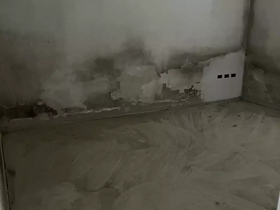 Immagine 4 di Terratetto in vendita  a Santa Croce Sull'arno