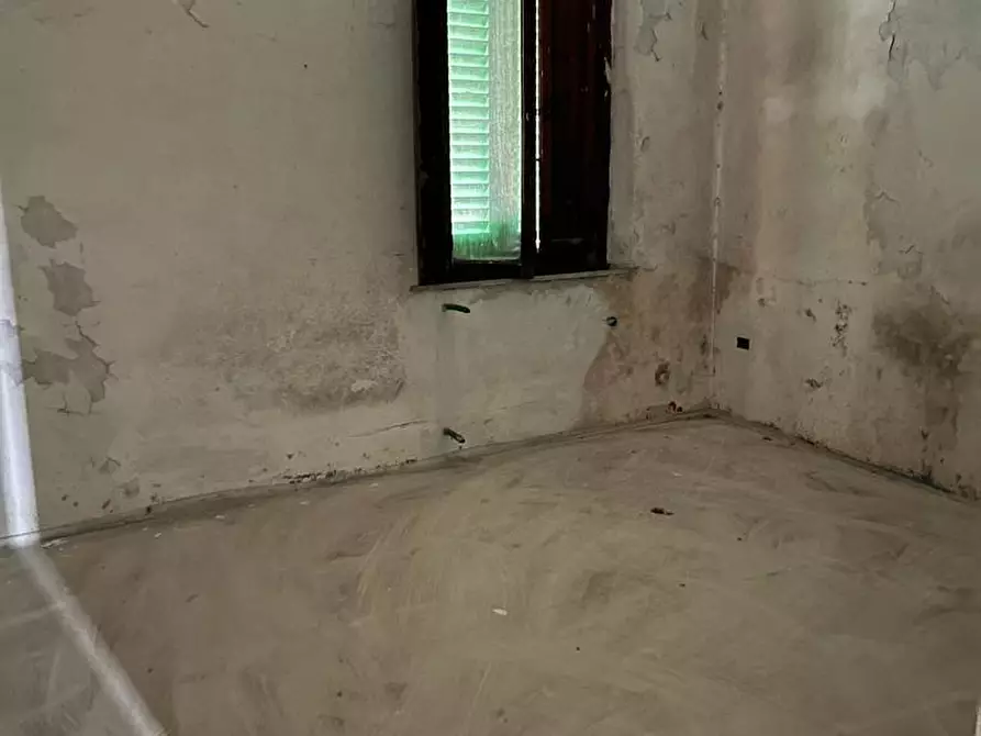 Immagine 13 di Terratetto in vendita  a Santa Croce Sull'arno