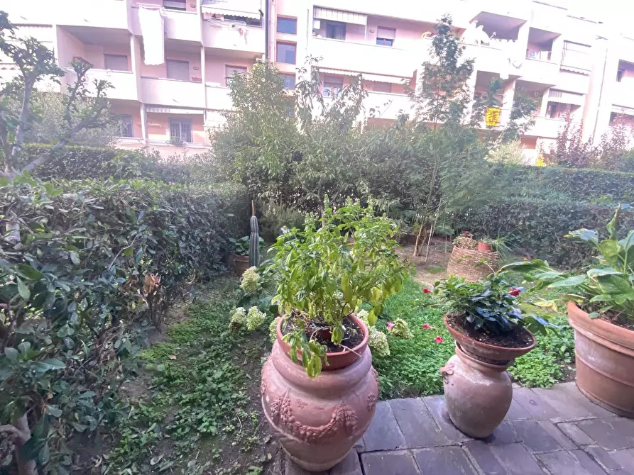 Immagine 27 di Terratetto in vendita  a Pontedera