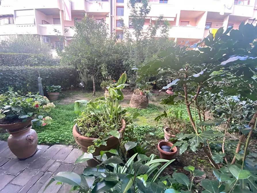 Immagine 29 di Terratetto in vendita  a Pontedera