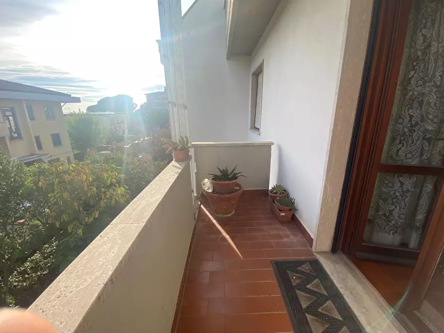 Immagine 22 di Terratetto in vendita  a Pontedera