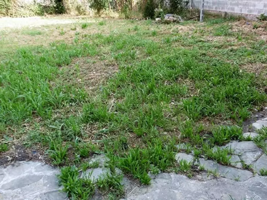 Immagine 6 di Terratetto in vendita  a Capraia E Limite