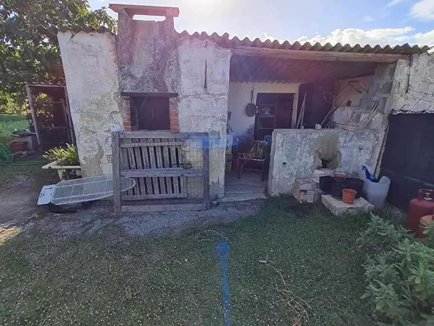 Immagine 20 di Appartamento in vendita  a Campiglia Marittima