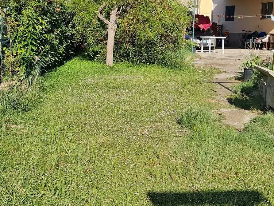 Immagine 19 di Appartamento in vendita  a Campiglia Marittima