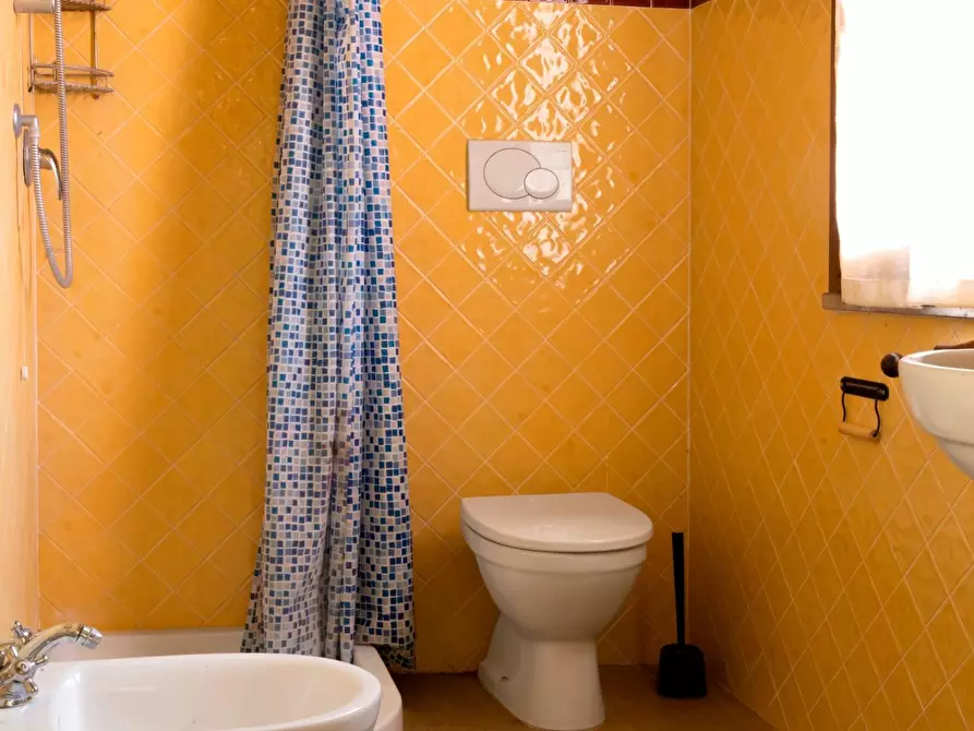 Immagine 5 di Appartamento in affitto  a Palaia