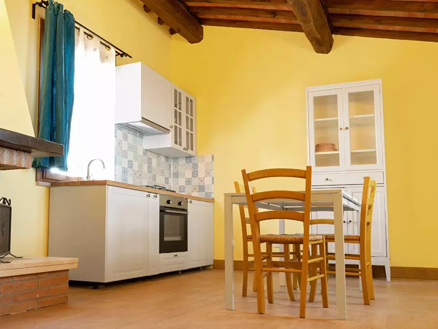 Immagine 1 di Appartamento in affitto  a Palaia