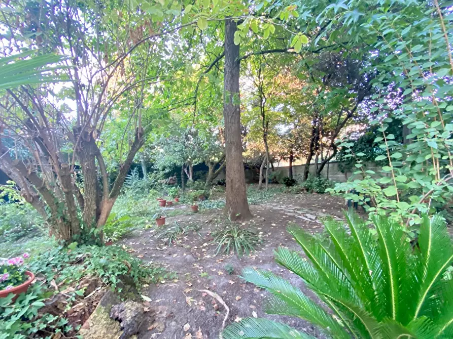 Immagine 7 di Villa in vendita  a Lucca