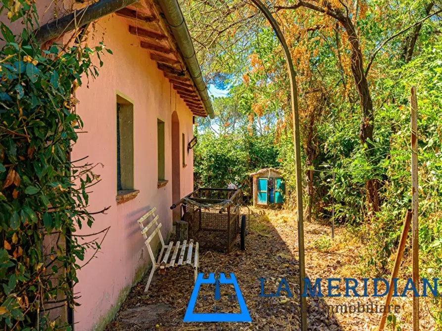 Immagine 29 di Terratetto in vendita  a Larciano