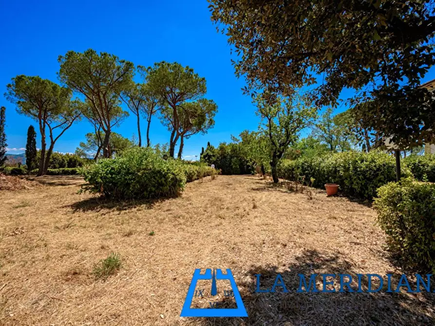 Immagine 34 di Terratetto in vendita  a Larciano