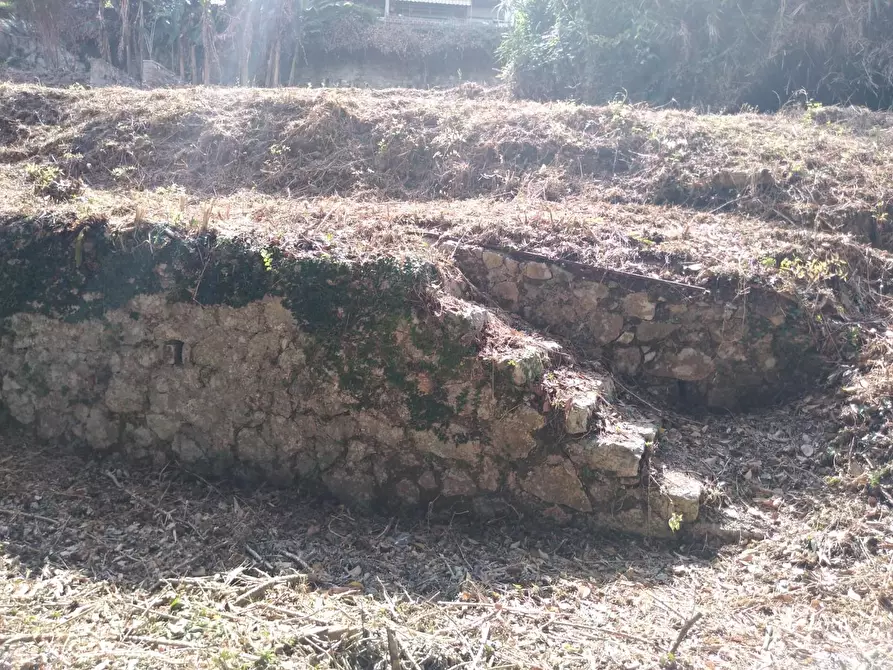 Immagine 26 di Villa in vendita  a Carrara