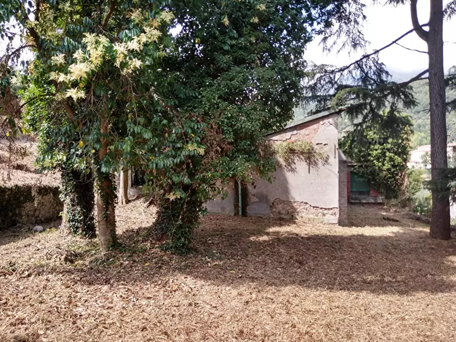 Immagine 28 di Villa in vendita  a Carrara