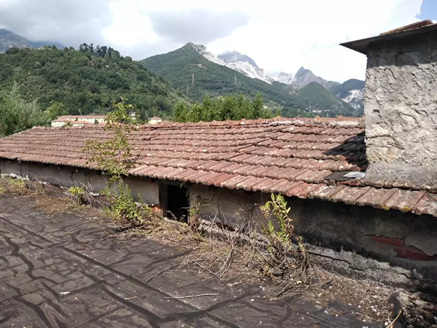 Immagine 21 di Villa in vendita  a Carrara