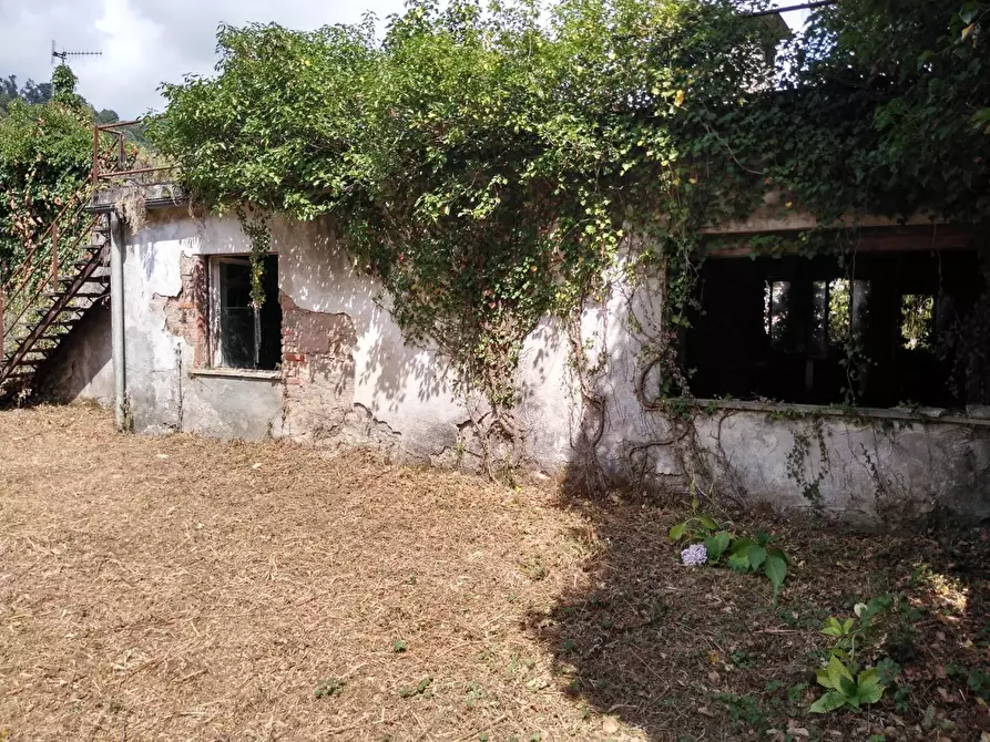 Immagine 25 di Villa in vendita  a Carrara