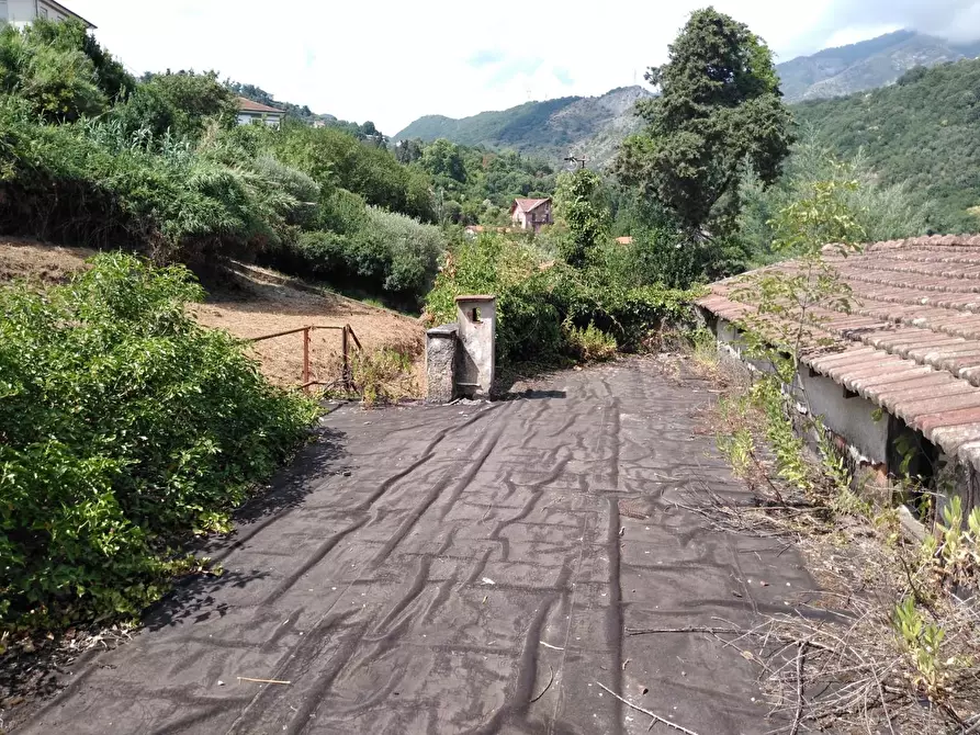 Immagine 22 di Villa in vendita  a Carrara