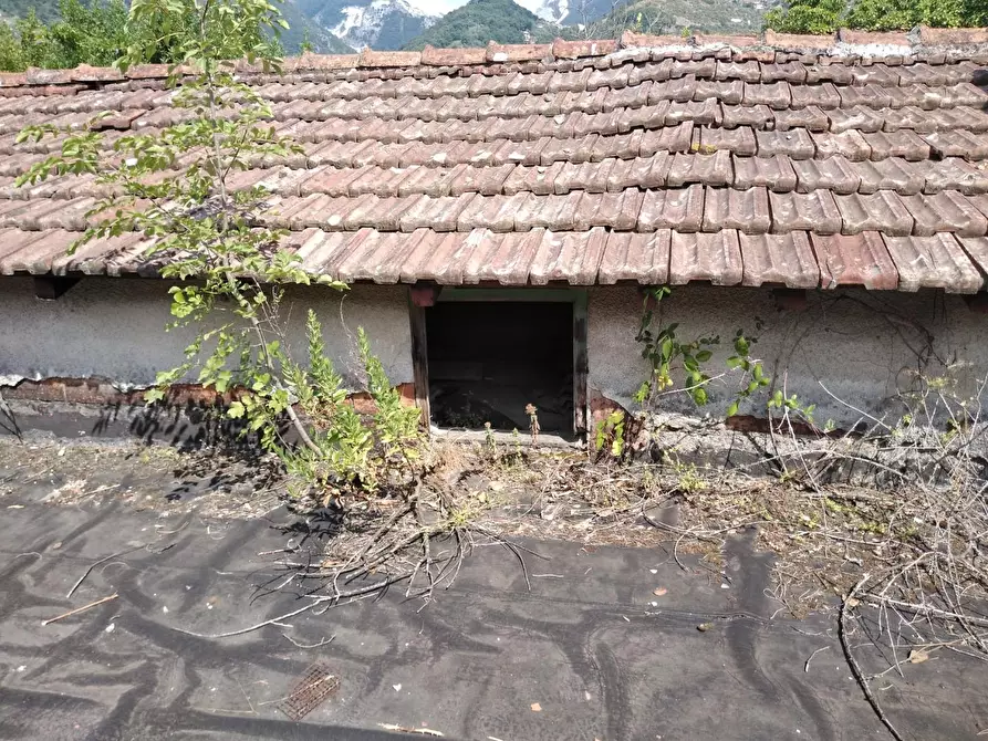 Immagine 24 di Villa in vendita  a Carrara