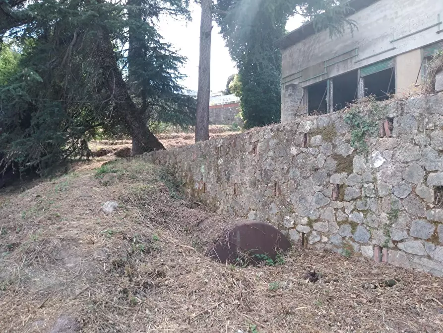Immagine 4 di Villa in vendita  a Carrara