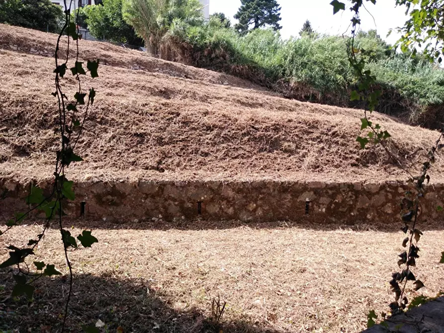 Immagine 11 di Villa in vendita  a Carrara