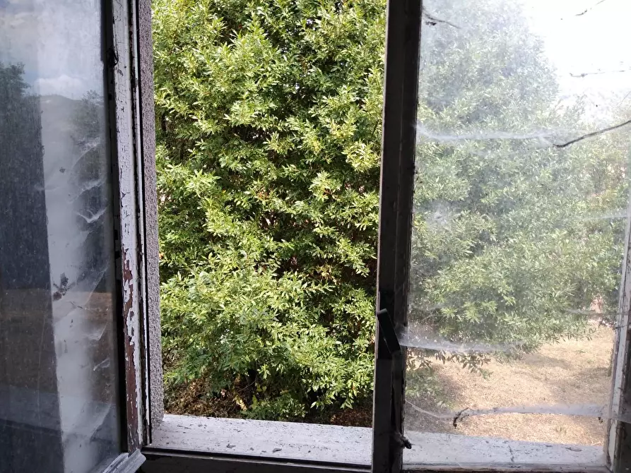 Immagine 15 di Villa in vendita  a Carrara