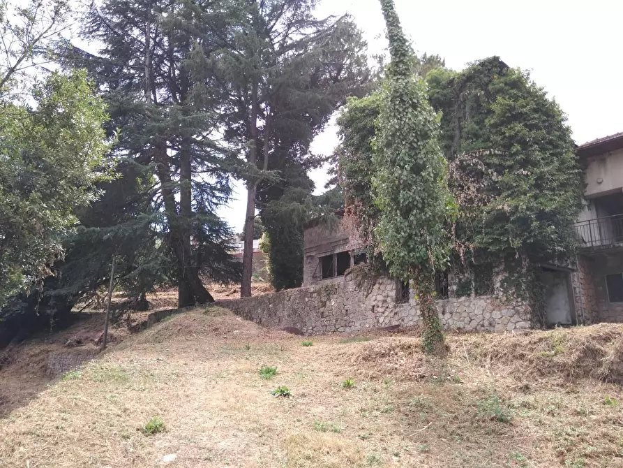 Immagine 3 di Villa in vendita  a Carrara