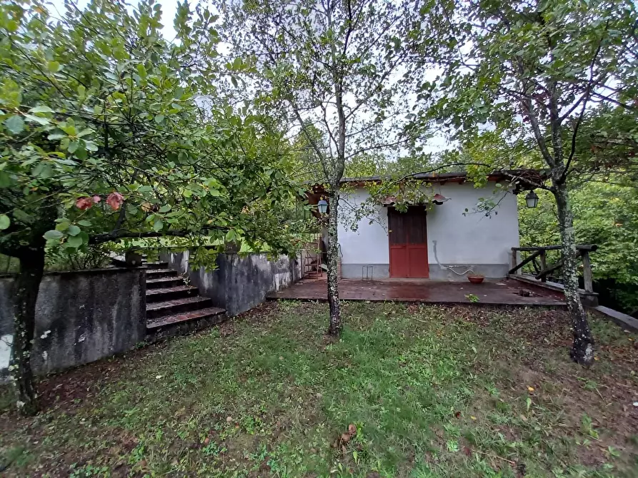 Immagine 6 di Rustico / casale in vendita  a Capannori