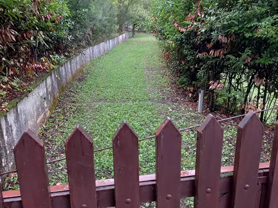 Immagine 8 di Rustico / casale in vendita  a Capannori